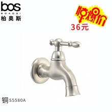 拖把池龍頭（拉絲）